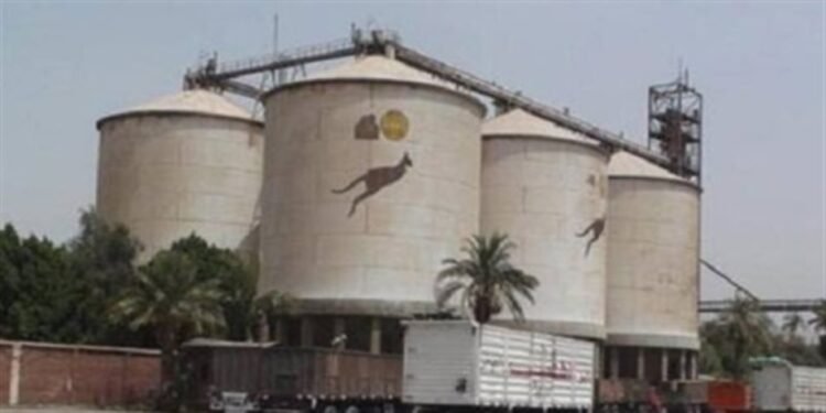 مطاحن مصر العليا تستهدف مشروعات استثمارية بقيمة 90 مليون جنيه
