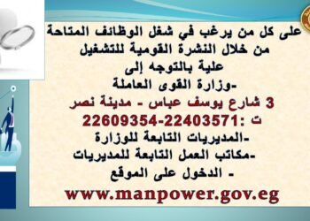 1922 فرصة عمل بـ15 محافظة براتب يبدأ من 2400 جنيه