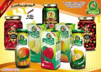 الدكتور علي المصيلحي: قها وإدفينا تحتاجان لمشاركة قوية من القطاع الخاص خاصة في مجال الإدارة