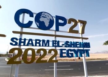 للعامل: أعرف المكاسب التي حققتها مصر من وراء قمة المناخ