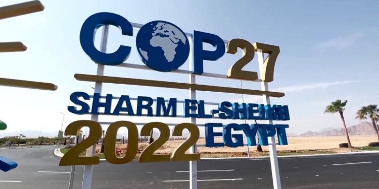 للعامل: أعرف المكاسب التي حققتها مصر من وراء قمة المناخ