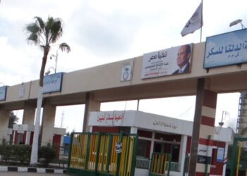 مصانع السكر تبرم التعاقدات لموسم الإنتاج الجديد