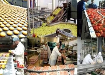 انطلاق قمة الصناعات الغذائية 27 فبراير بحضور وزراء لبحث فرص وتحديات تحقيق الاكتفاء الذاتي