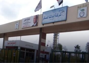 الدلتا للسكر: التعاقد علي زراعة 120 ألف فدان لزيادة إنتاج السكر من البنجر