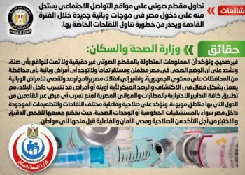 الحكومة تنفي دخول مصر في موجات وبائية جديدة