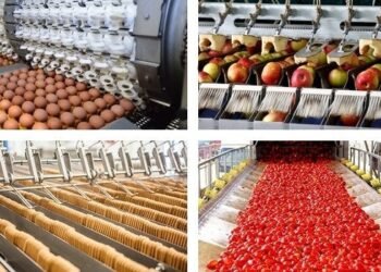 صادرات الصناعات الغذائية تنمو 14% خلال العام 2023 وتحقق 5.1 مليار دولار