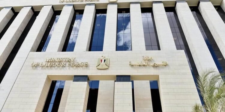 تعرف علي ضوابط تنظيم عمل الأجانب في مصر وفقًا للقانون