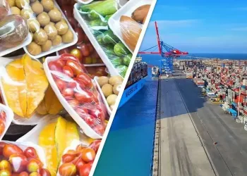 الالتزام بالمواصفات القياسية يقود صادرات الصناعات الغذائية لمستوي قياسي في 2023