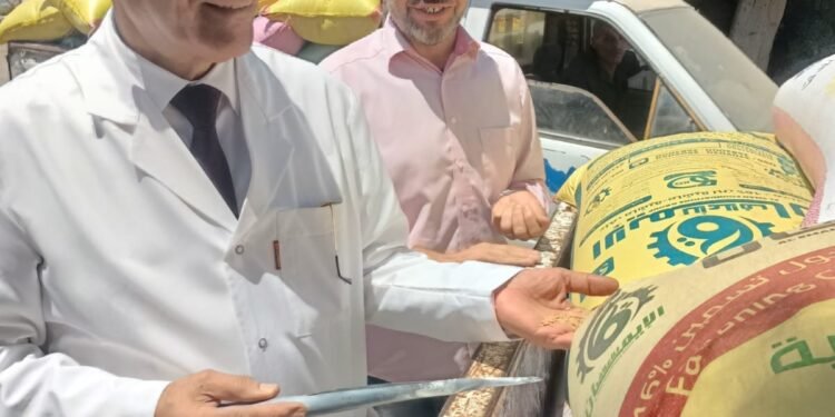 المهندس محمد شعيره يتفقد سير العمل لضمان نجاح موسم توريد القمح