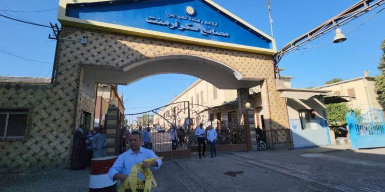 انتهاء موسم حصاد وعصير القصب بمصنع سكر أرمنت