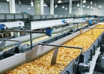 “الصناعات الغذائية” ترسل بعثة تجارية لجنوب أفريقيا مايو المقبل لبحث التوسع في الأسواق الأفريقية