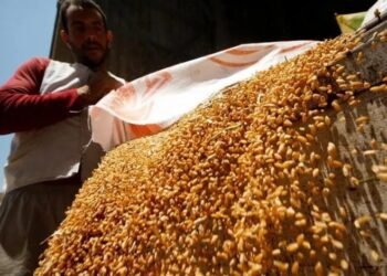 تقرير: اهمية البورصة السلعية صمام أمان للأسواق وآلية فعالة لضبط الأسعار