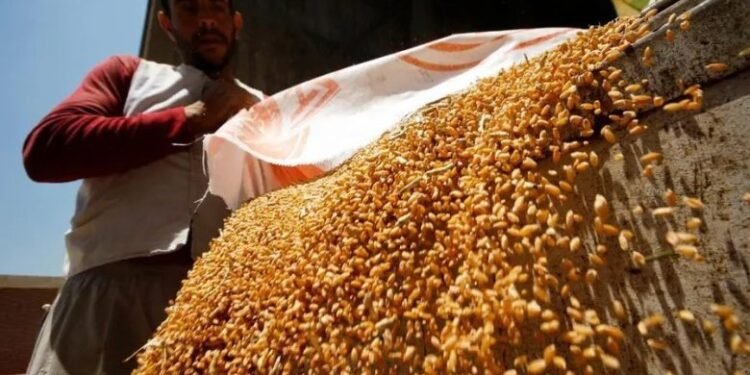 تقرير: اهمية البورصة السلعية صمام أمان للأسواق وآلية فعالة لضبط الأسعار