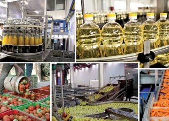 افتتاح البعثة التجارية للصناعات الغذائية المصرية لتعزيز صادرات الصناعات الغذائية في جنوب أفريقيا