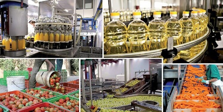 افتتاح البعثة التجارية للصناعات الغذائية المصرية لتعزيز صادرات الصناعات الغذائية في جنوب أفريقيا