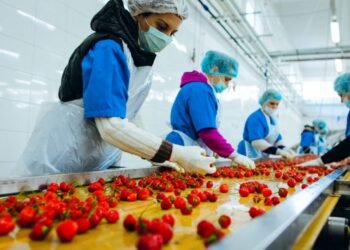 “الصناعات الغذائية” ضمن قائمة “أقوى 50 شركة عامة في مصر لعام 2025