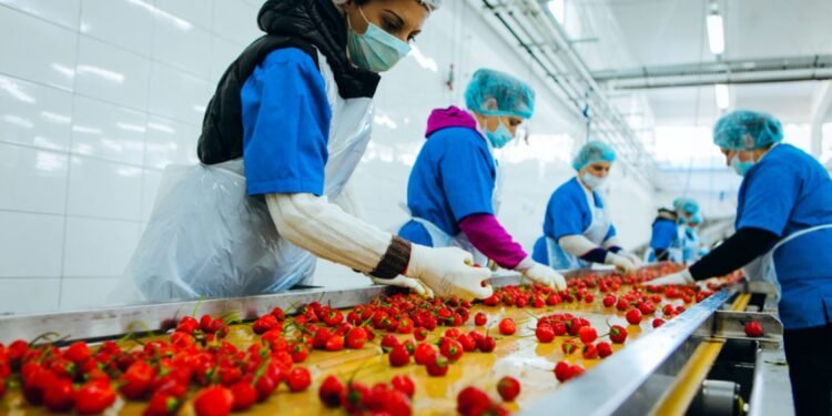 “الصناعات الغذائية” ضمن قائمة “أقوى 50 شركة عامة في مصر لعام 2025