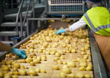 قطاع “الصناعات الغذائية” يتجاوز تداعيات الحرب وتكلفة الشحن البحري هي العائق الوحيد وطول مدة الرحلة