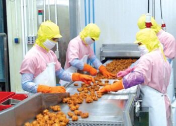 شركات هندية تضخ استثمارات في الصناعات الغذائية بمصر